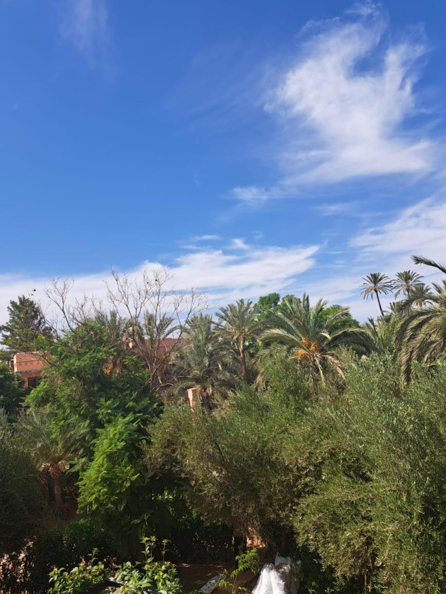 Les Jardins De La Palmeraie Marrakesh Exterior photo